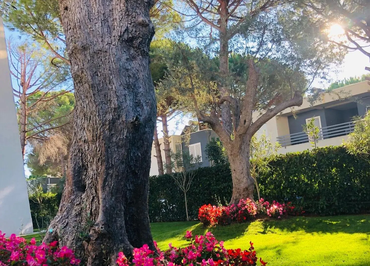 Vila Neziri Durres