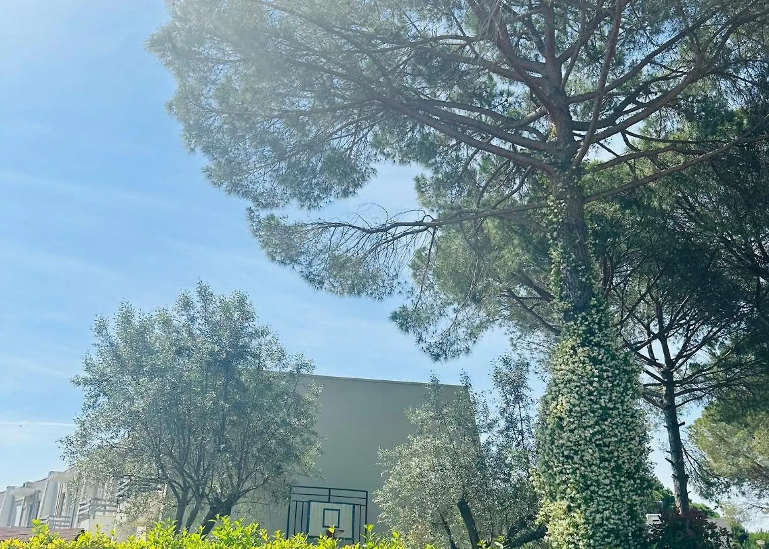 Vila Neziri Durres Albania