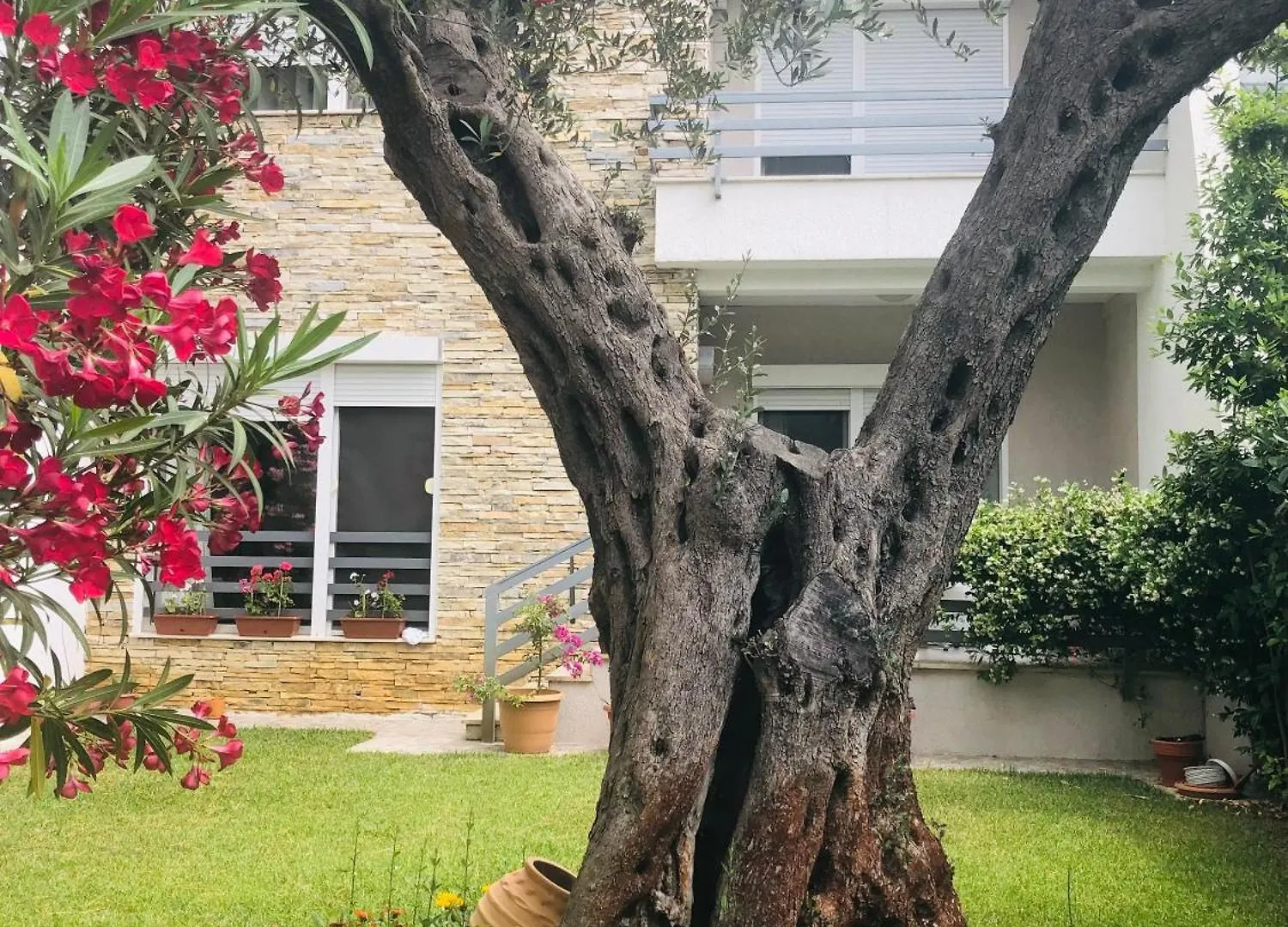 Villa Vila Neziri Durres