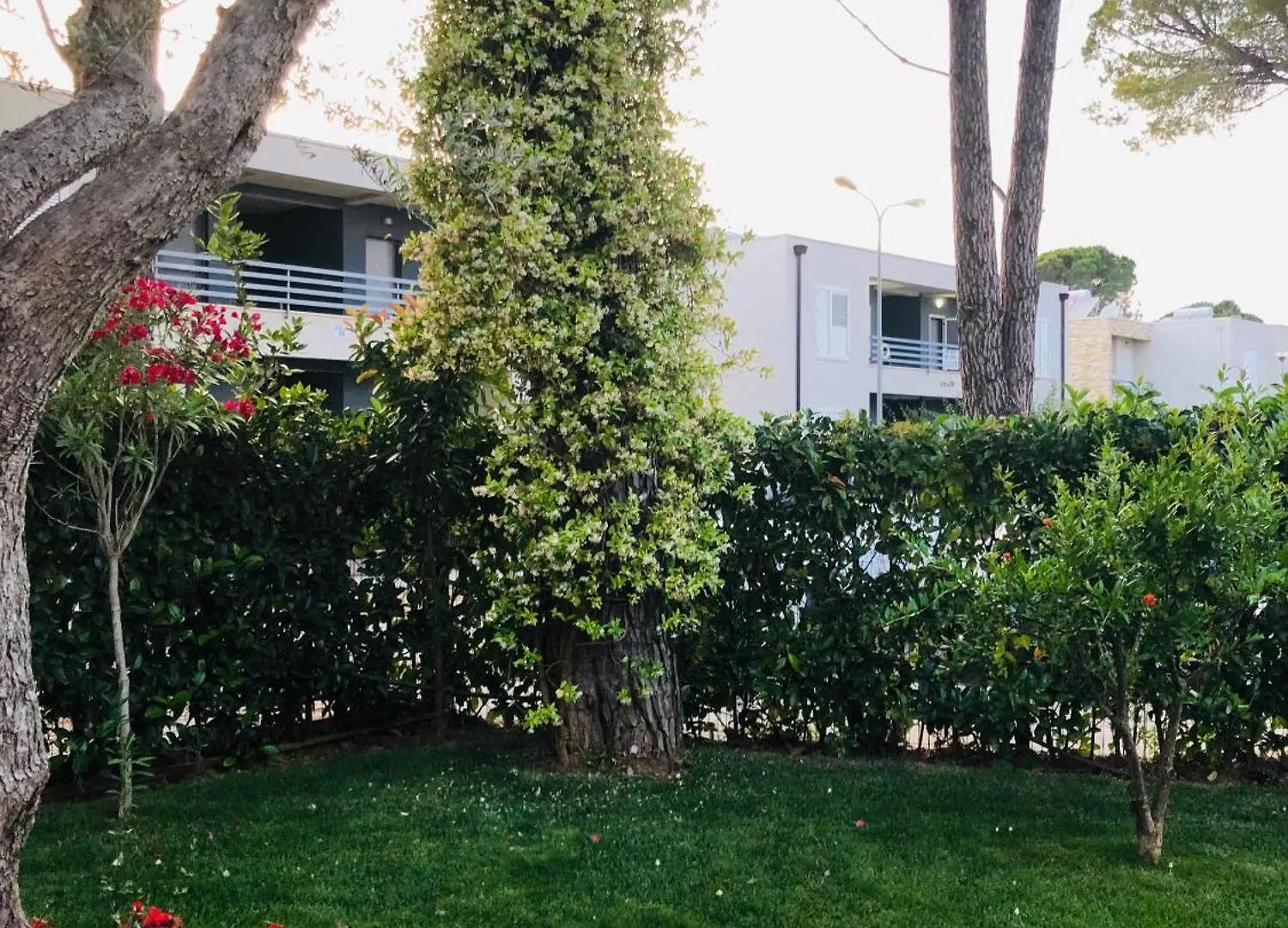 Vila Neziri Durres Villa